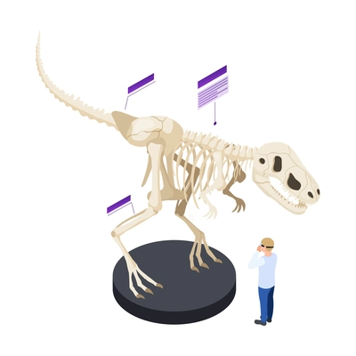 Man in augmented reality glasses watching skeleton of dinosaur in modern museum 3d isometric icon vector illustration