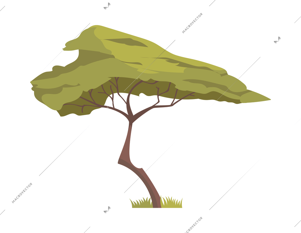 Acacia flat icon green african savannah tree vector illustration
