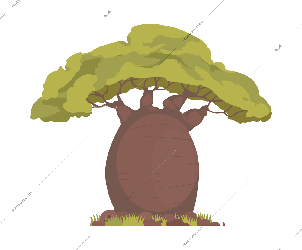 Flat icon with african green baobab on white background vector illustration