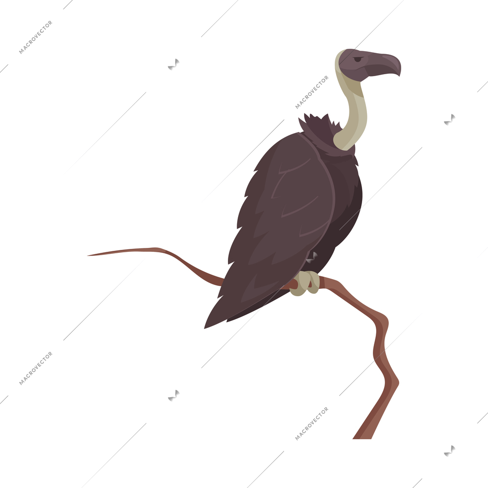 Vulture with grey neck sitting on tree branch flat vector illustration