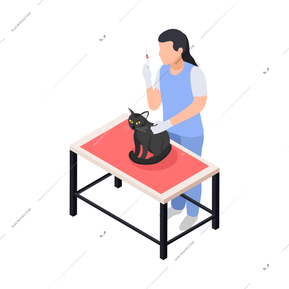 Vet giving injection to cat isometric icon 3d vector illustration