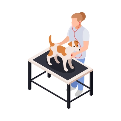 Female vet examining dog with stethoscope 3d isometric icon vector illustration