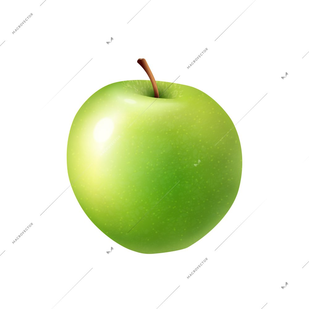 Realistic fresh green apple vector illustration