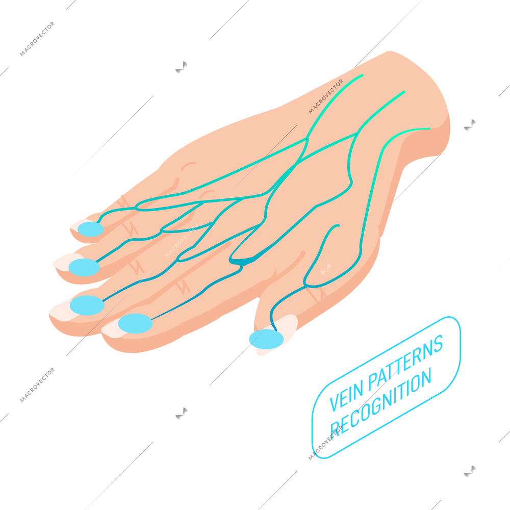 Biometric authentication vein pattern recognition on human hand isometric icon vector illustration