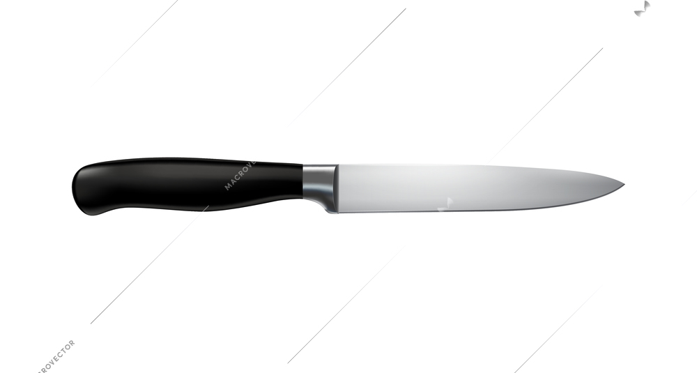 Stainless steel paring knife with black handle realistic vector illustration