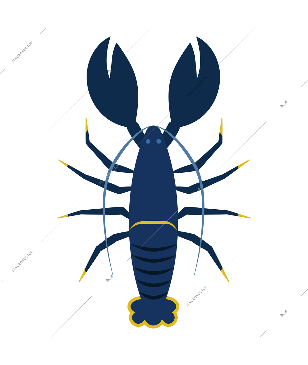 Blue lopster top view in flat style vector illustration