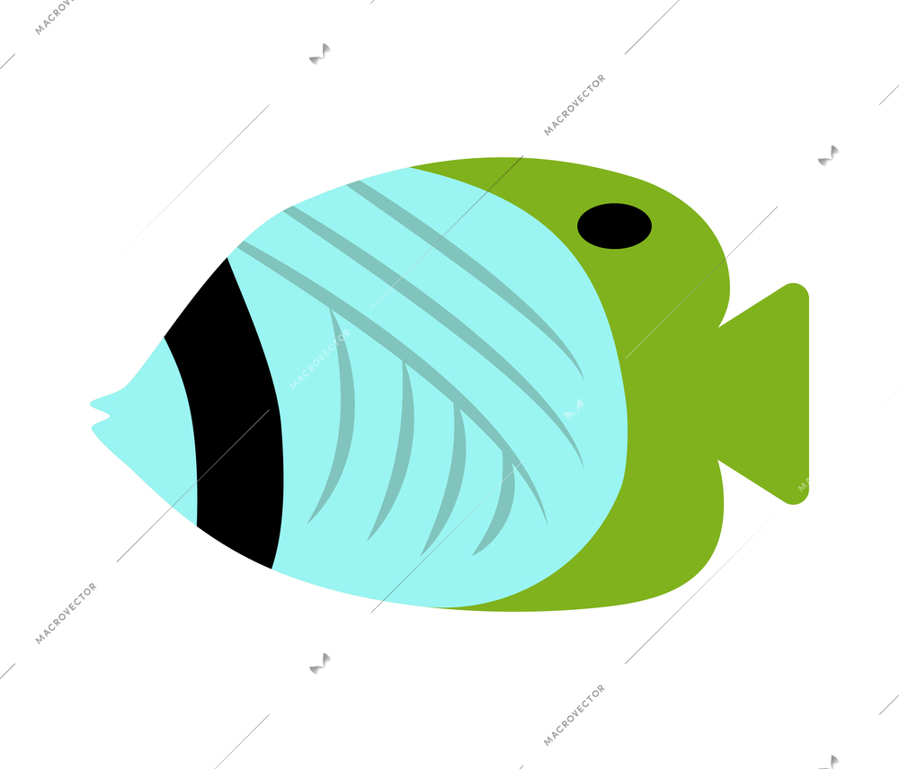 Colorful exotic fish side view on white background flat vector illustration