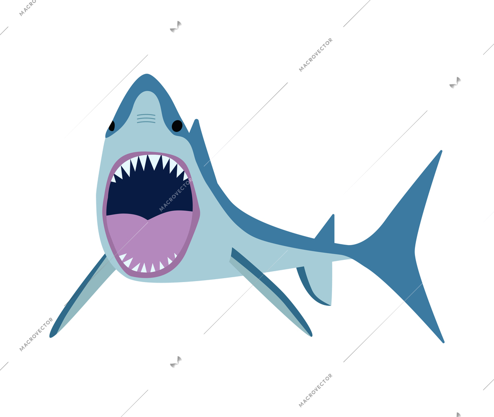 Angry shark with open mouth front view flat vector illustration