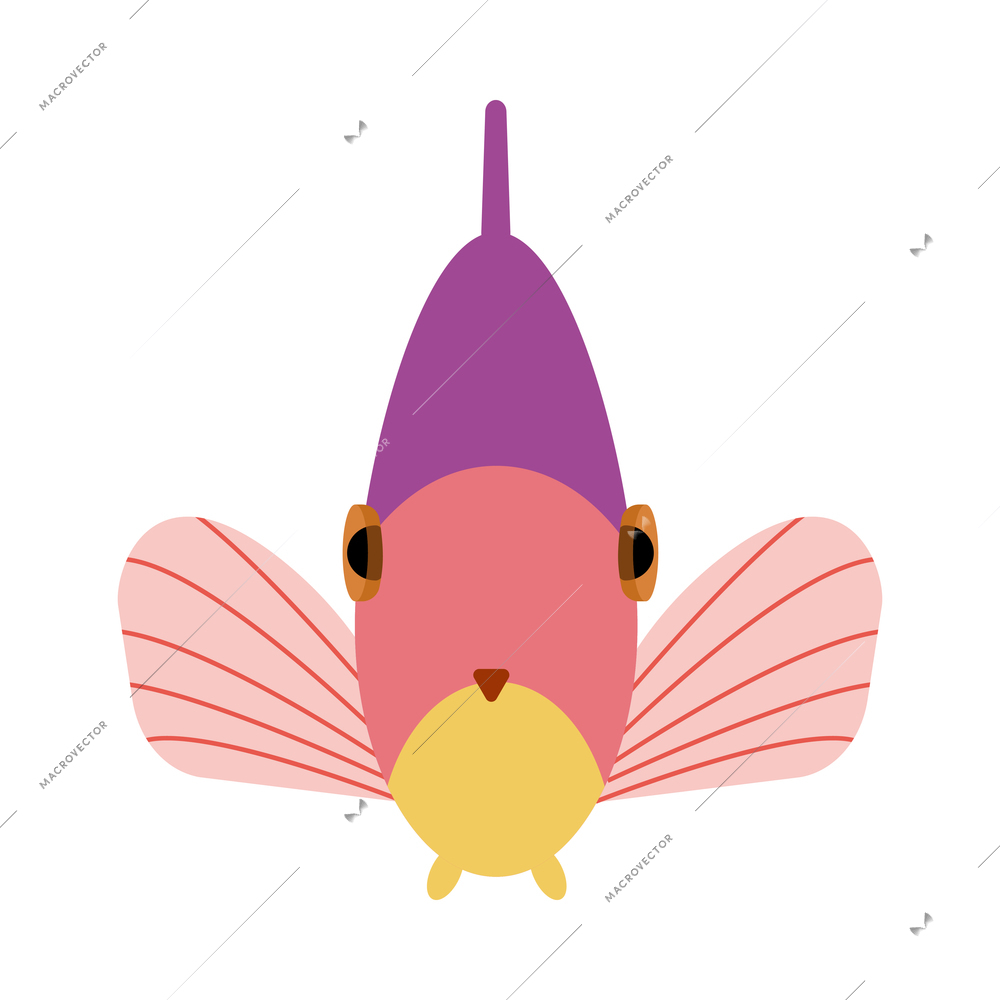 Flat front view of colorful exotic sea fish on white background vector illustration