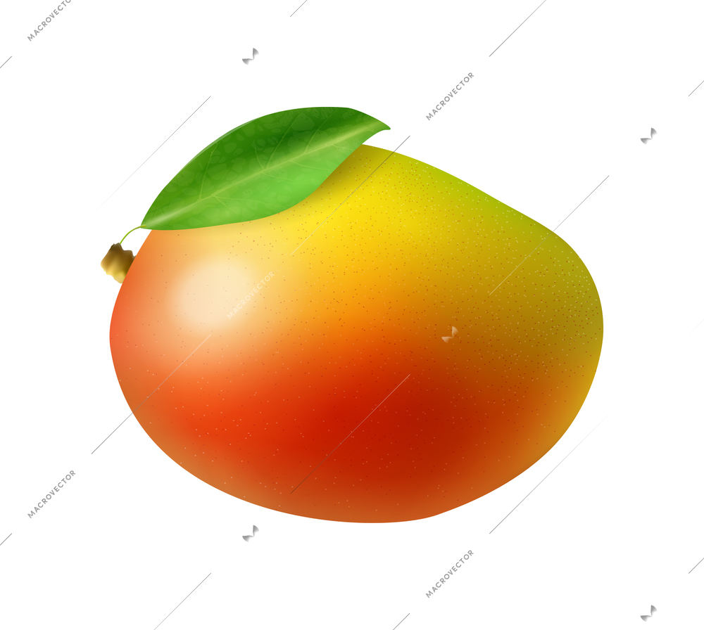 Whole ripe mango with green leaf realistic vector illustration