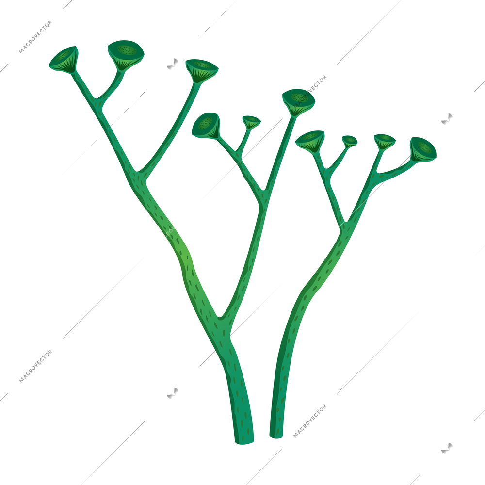 Green prehistoric plant branches on white background flat isolated vector illustration