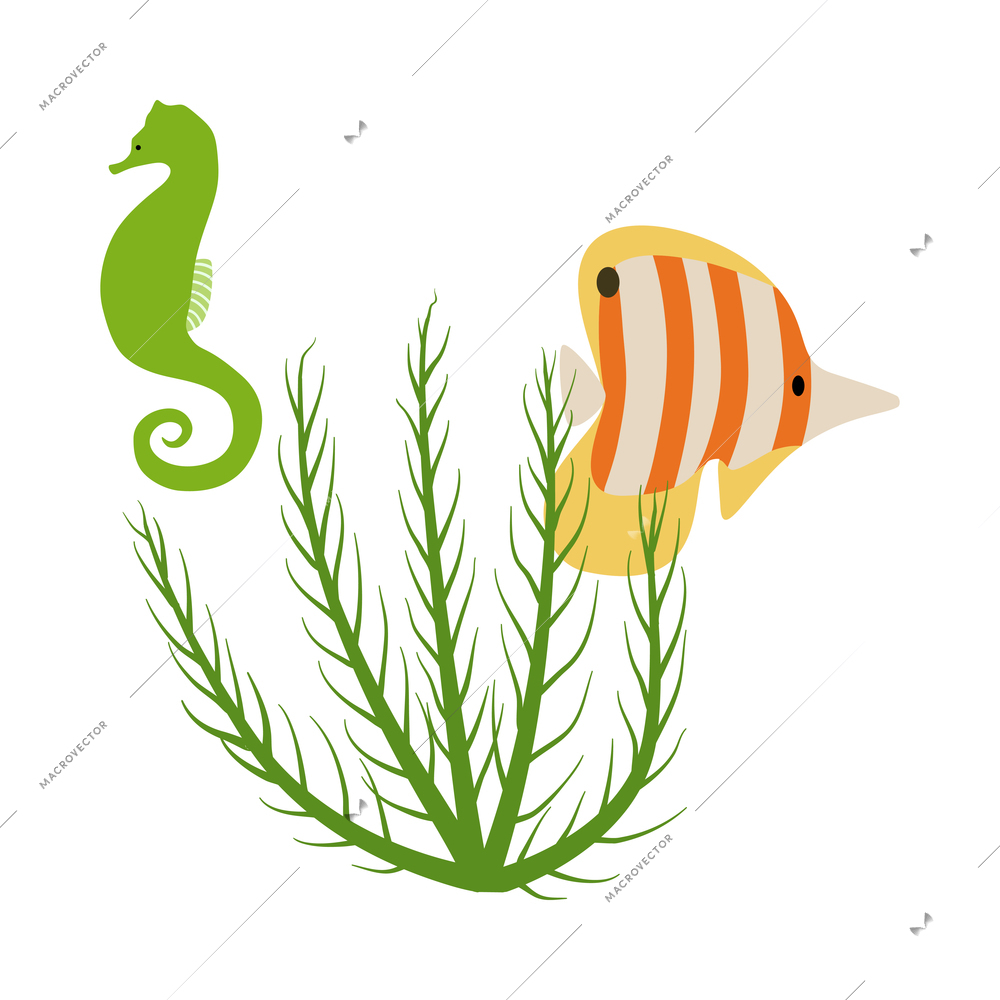 Green seahorse fish and seaweed on white background flat vector illustration