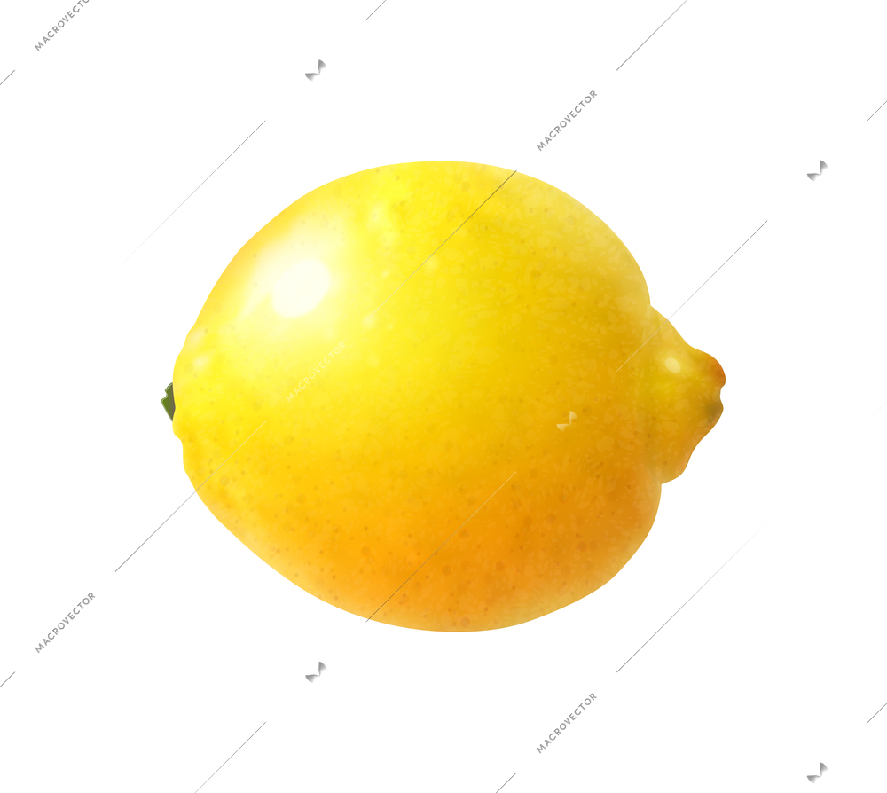 Realistic unpeeled fresh lemon vector illustration