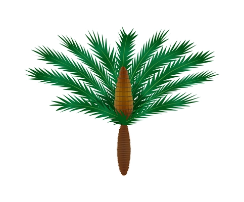 Flat green prehistoric plant palm on white background vector illustration