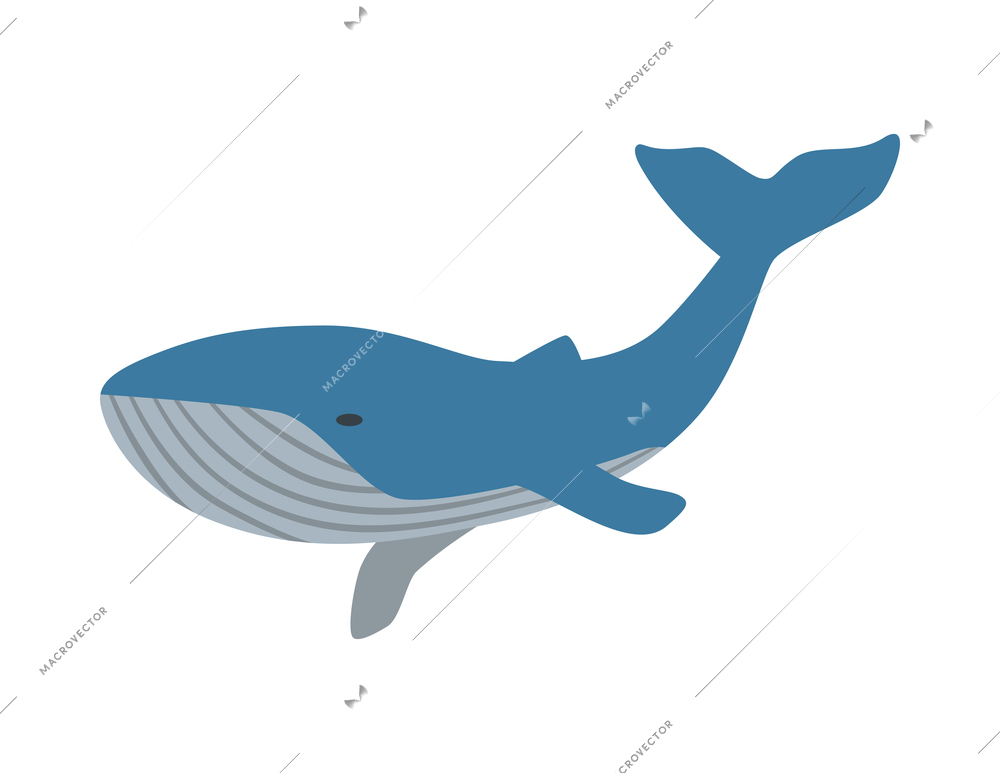 Blue whale icon in flat style on blank background vector illustration