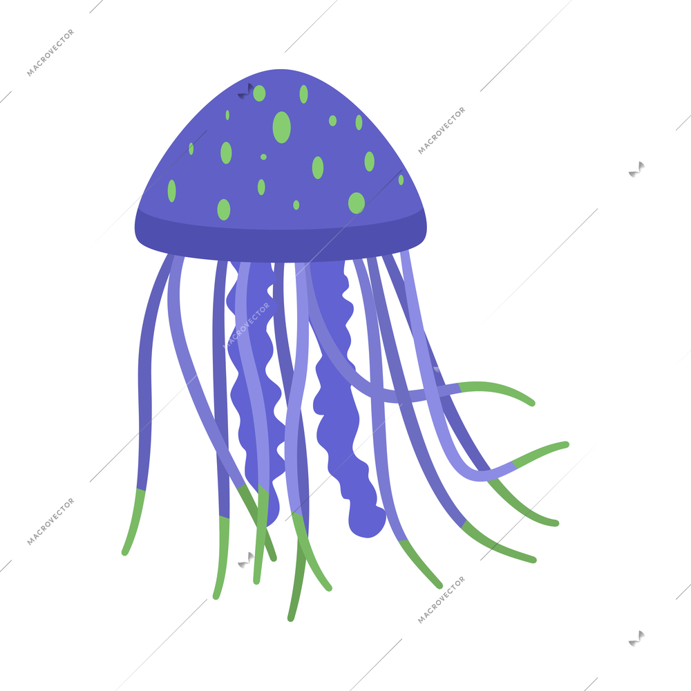 Blue and green jellyfish in flat style on white background vector illustration