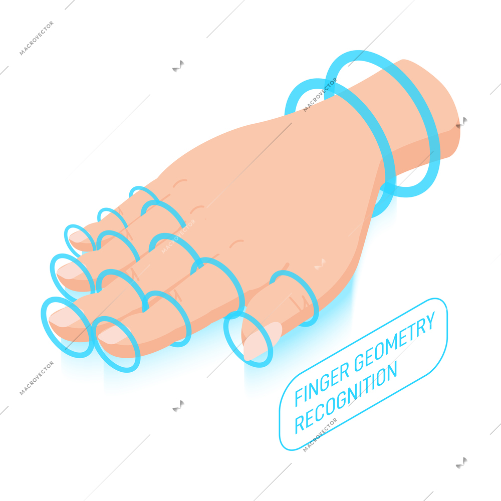 Biometric authentication isometric icon with human finger geometry recognition vector illustration