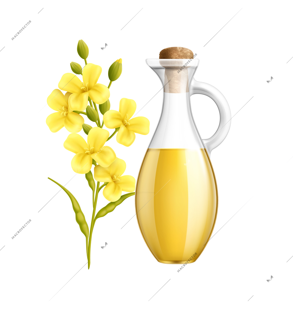 Mustard food oil in glass jar and flowers realistic vector illustration