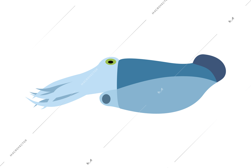 Flat style blue squid icon on white background vector illustration