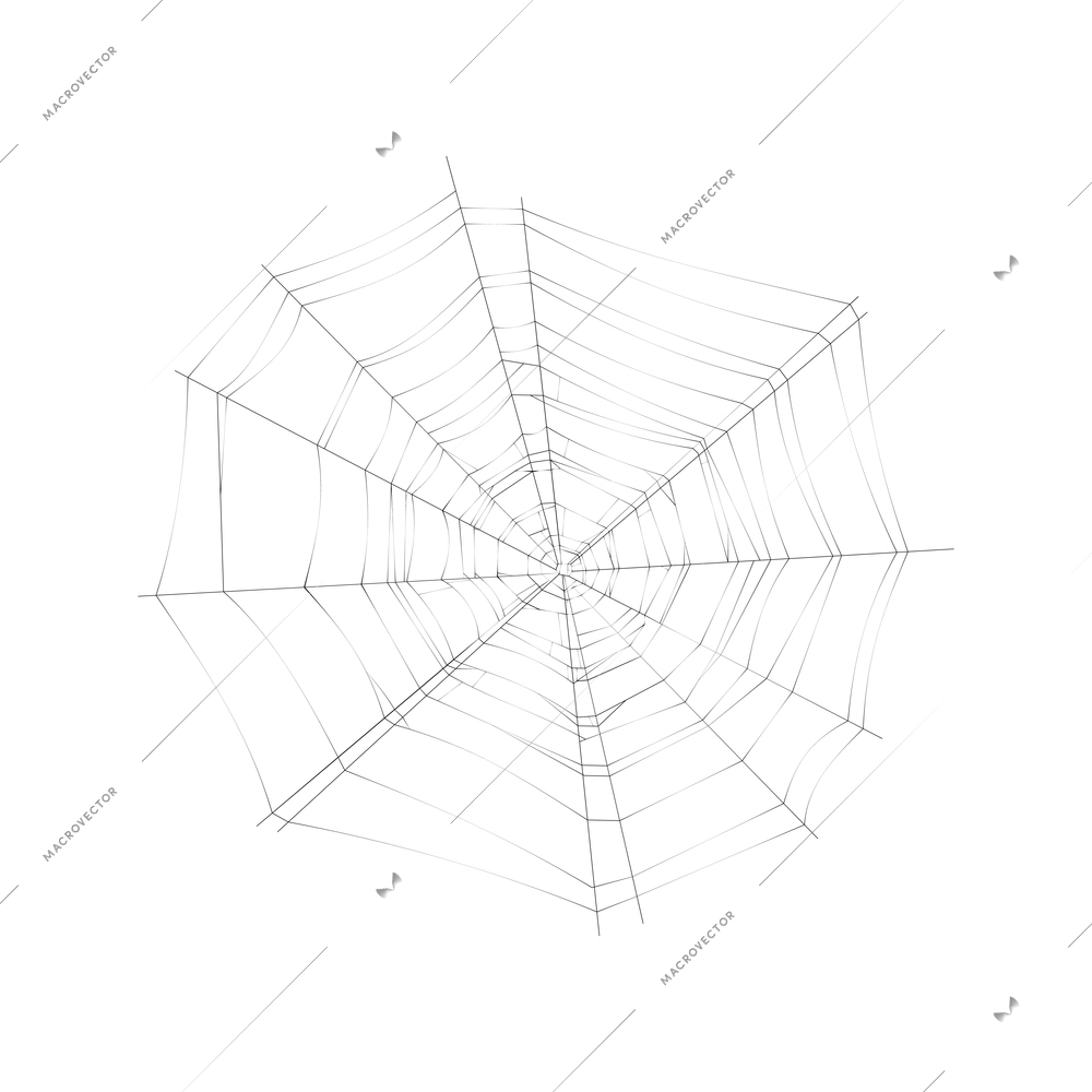 Round spider cobweb on white background realistic vector illustration