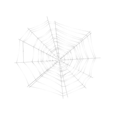 Round spider cobweb on white background realistic vector illustration