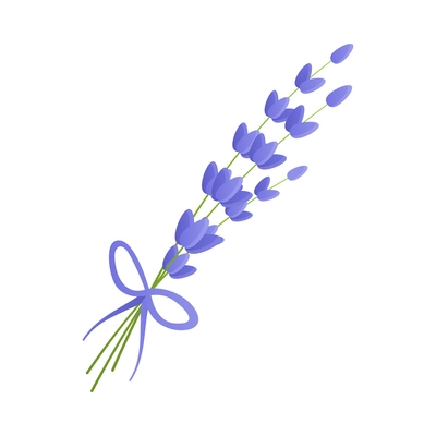 Flat lavender flowers bunch on blank background vector illustration