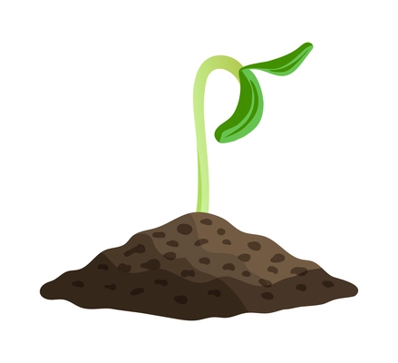 Flat small green tomato plant sprout growing naturally in soil vector illustration