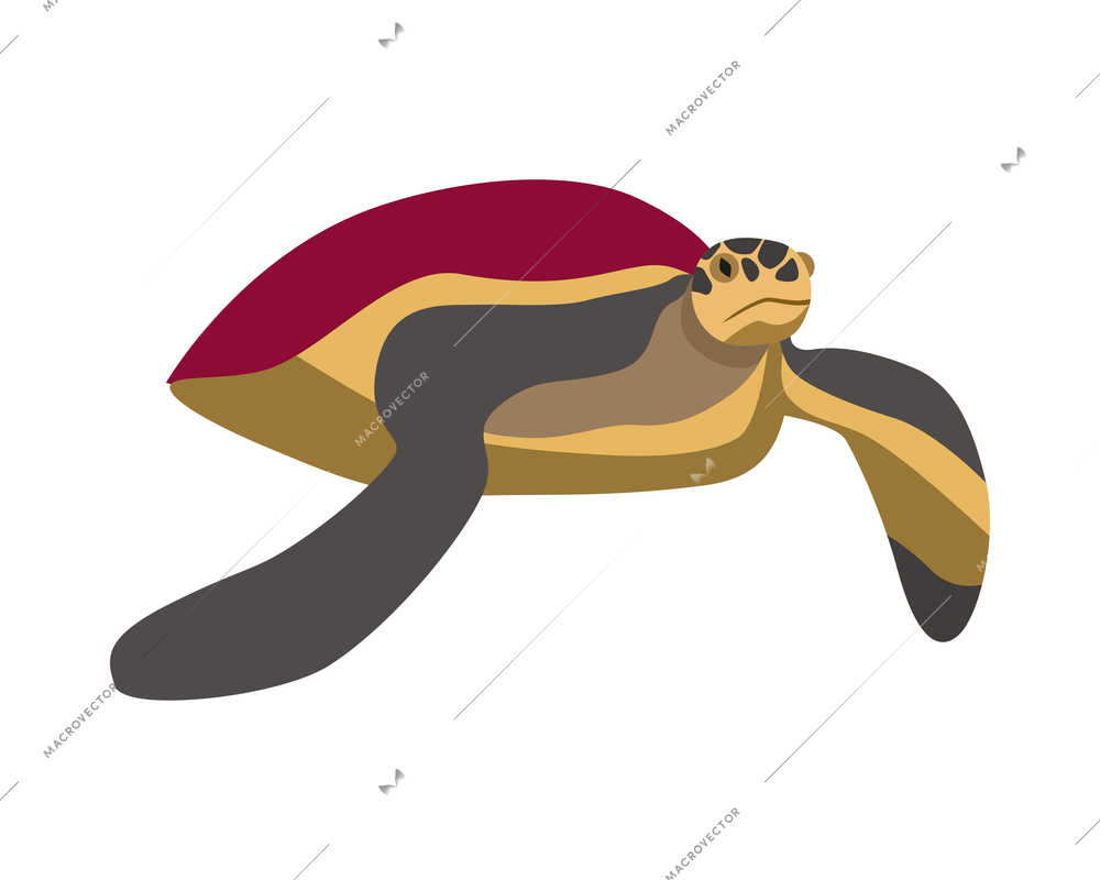 Flat icon with big color sea turtle on white background vector illustration