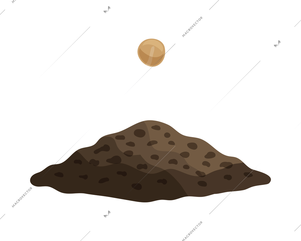 Pea seed before planting in soil flat isolated vector illustration