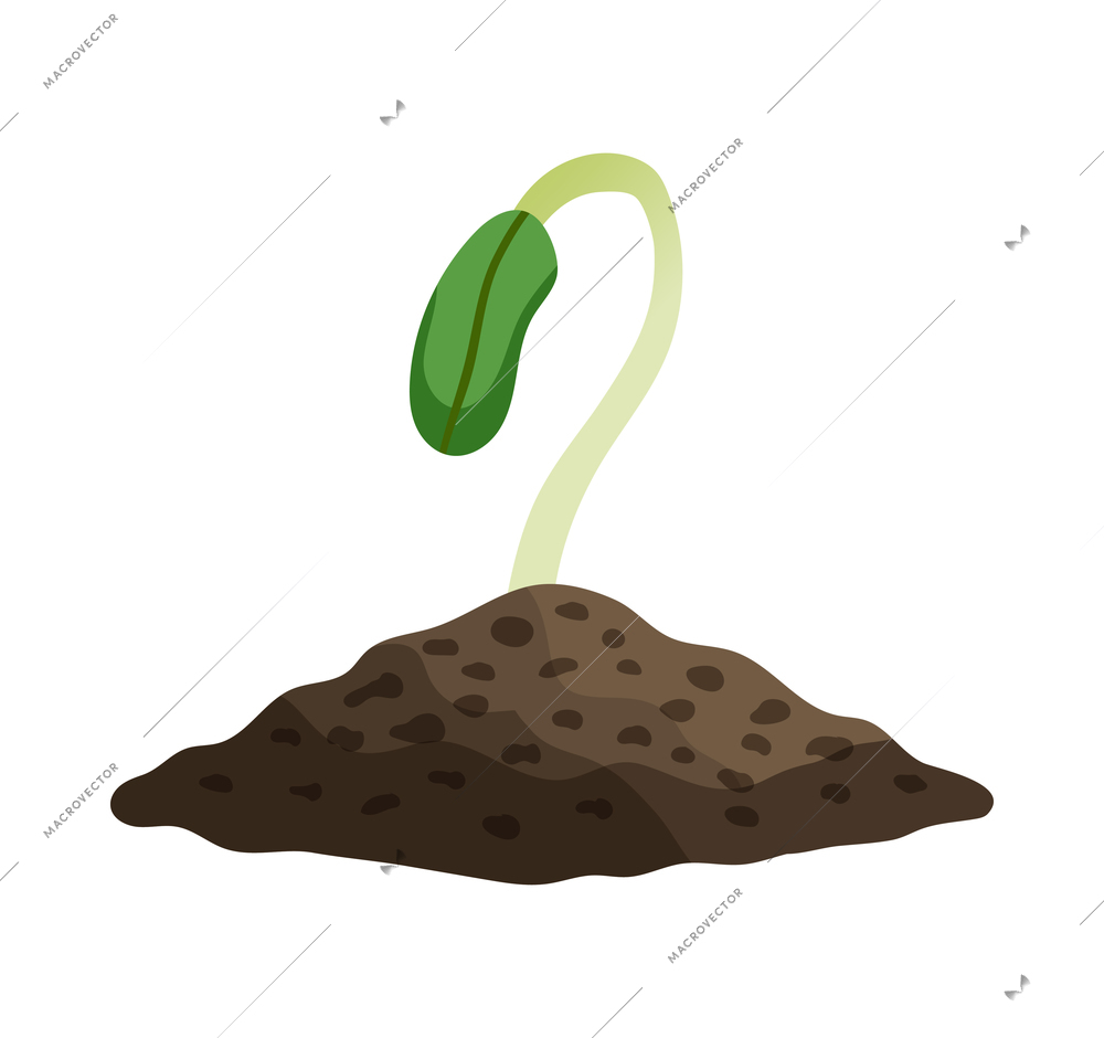 Flat icon with small peas sprout growth vector illustration