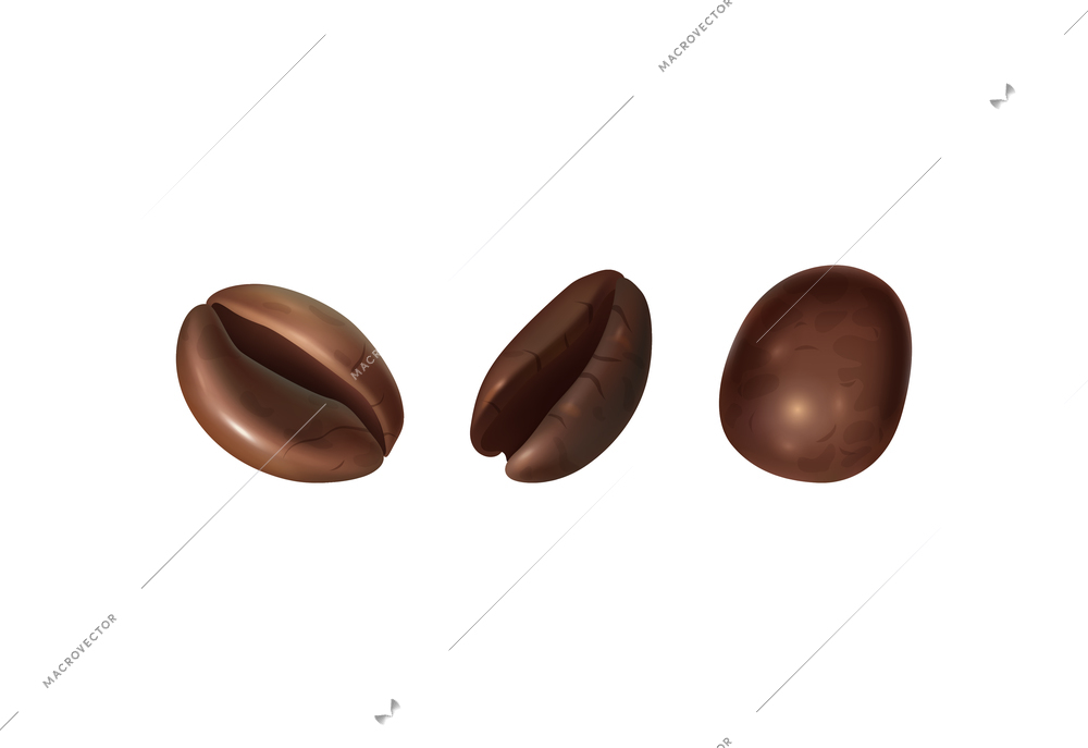 Three realistic roasted coffee beans isolated on white background vector illustration