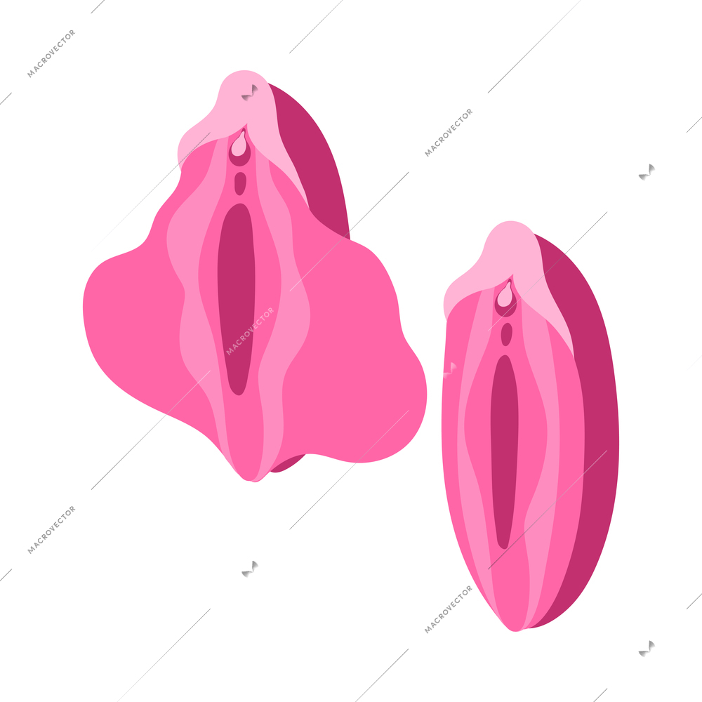 Plastic surgery icon with vulva before and after labioplasty isometric vector illustration