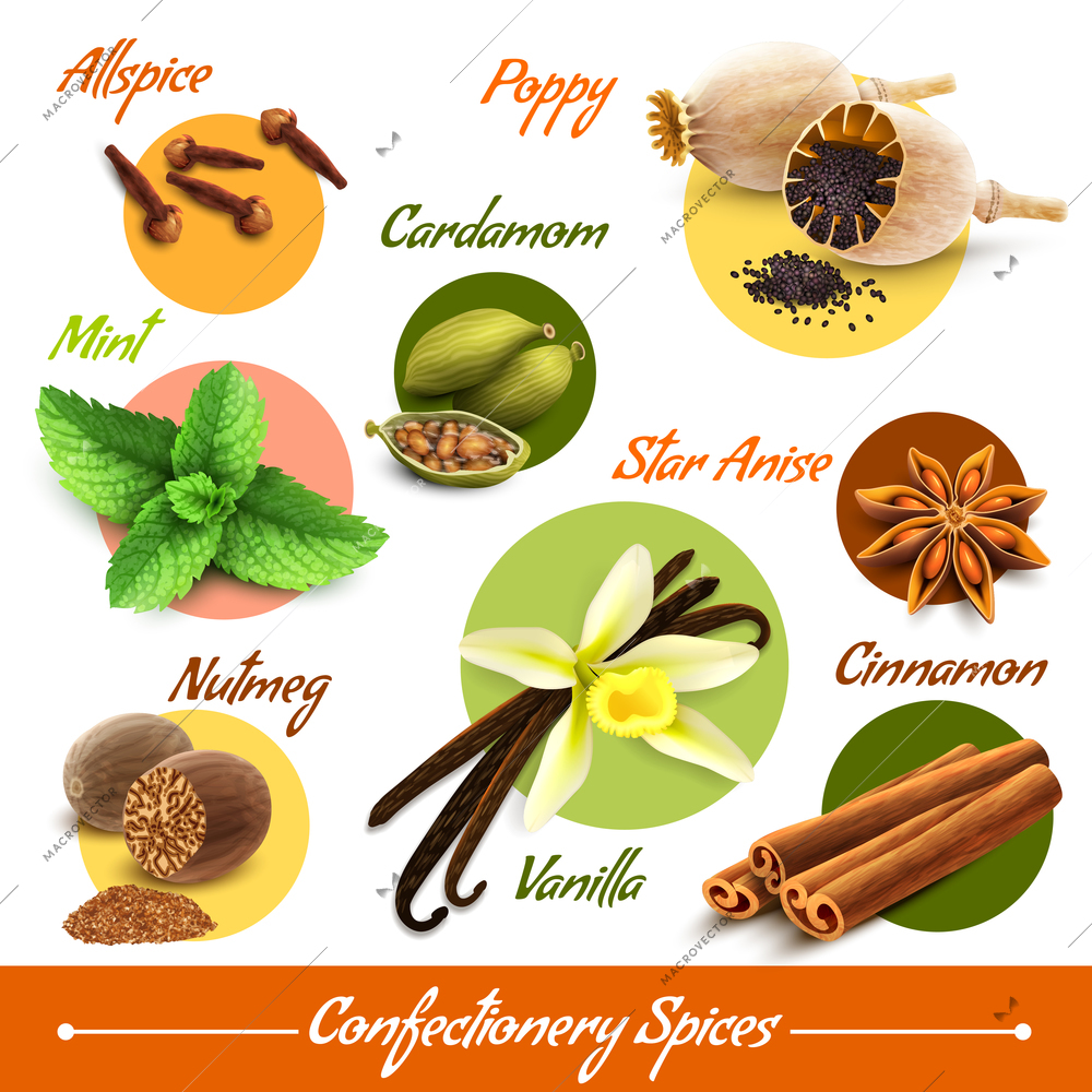 Spices decorative icons set of poppy cardamom nutmeg vanilla isolated vector illustration