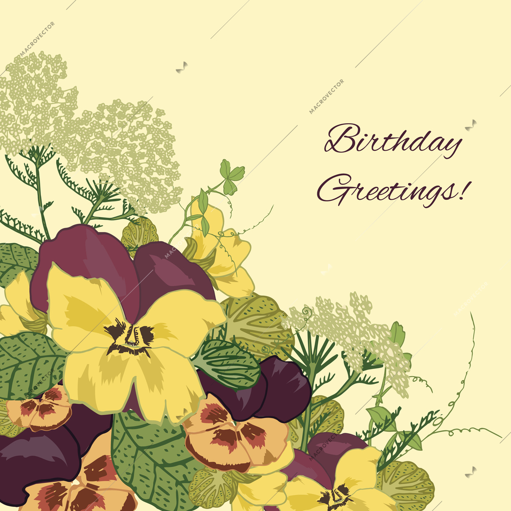 Vintage flowers birthday greetings postcard background with pansy petunia viola vector illustration