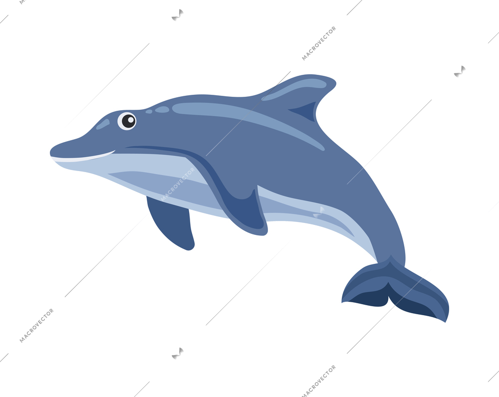 Cartoon cute blue dolphin on white background vector illustration
