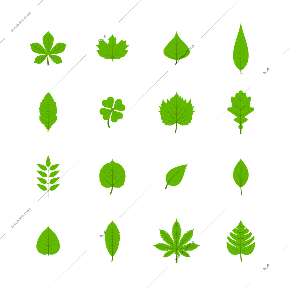 Green trees leaves flat icons set of oak aspen linden maple chestnut clover plants isolated vector illustration