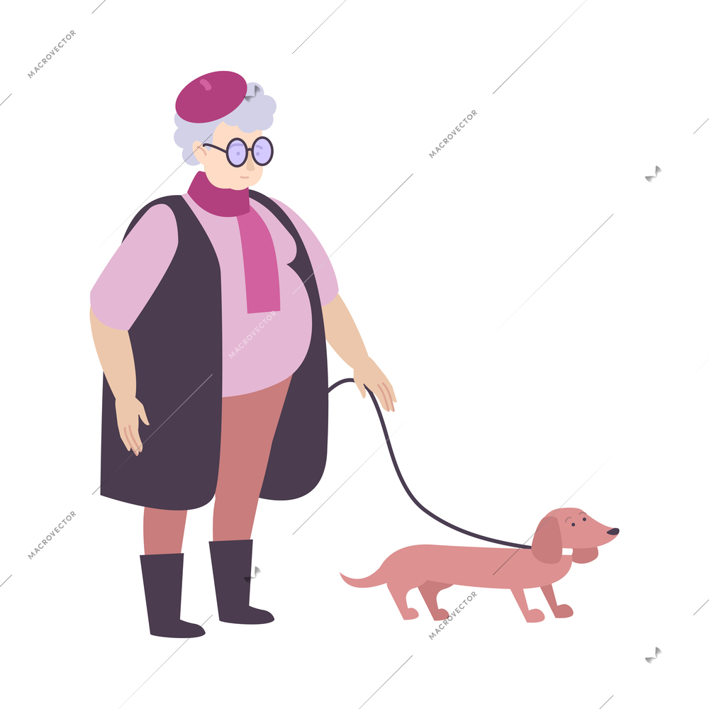 Elegant elderly woman walking her dog on leash flat vector illustration