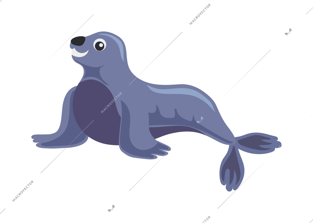 Funny cute cartoon seal animal on white background vector illustration