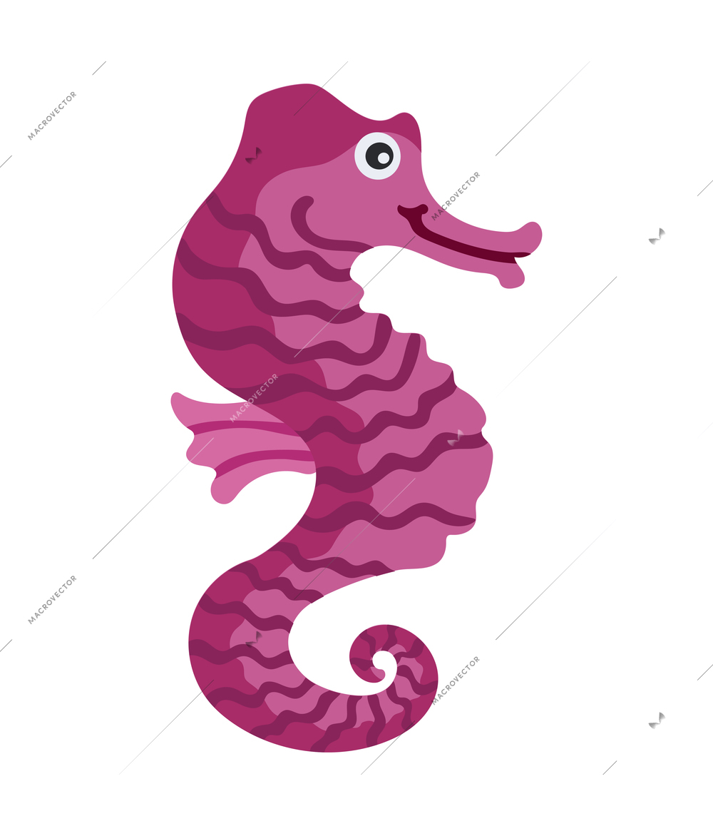 Cartoon icon of cute color sea horse on blank background vector illustration