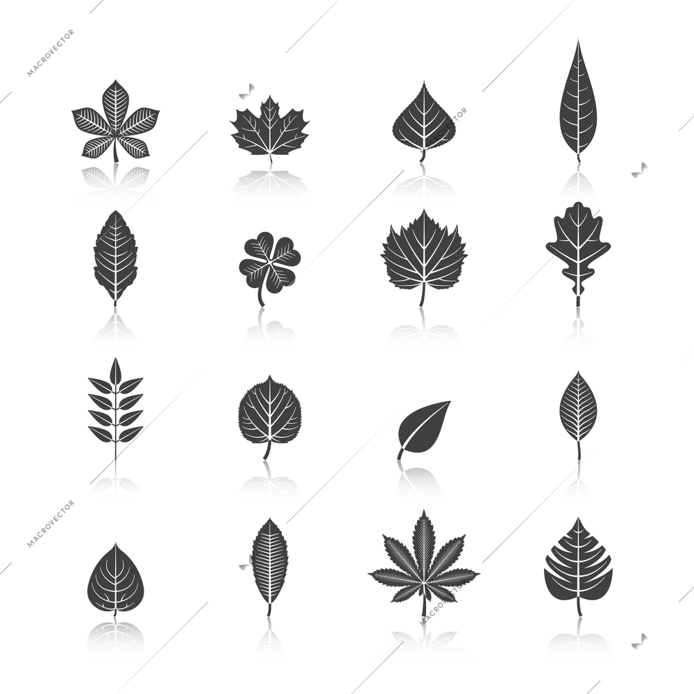 Botanic plants eco black icons set with marijuana cannabis trefoil trees leaves silhouette abstract isolated vector illustration