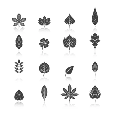 Botanic plants eco black icons set with marijuana cannabis trefoil trees leaves silhouette abstract isolated vector illustration