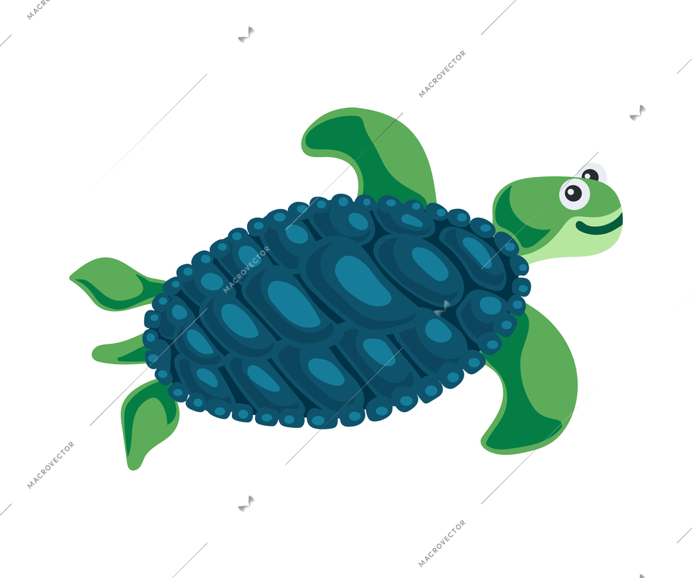 Cute swimming green turtle icon on white background vector illustration