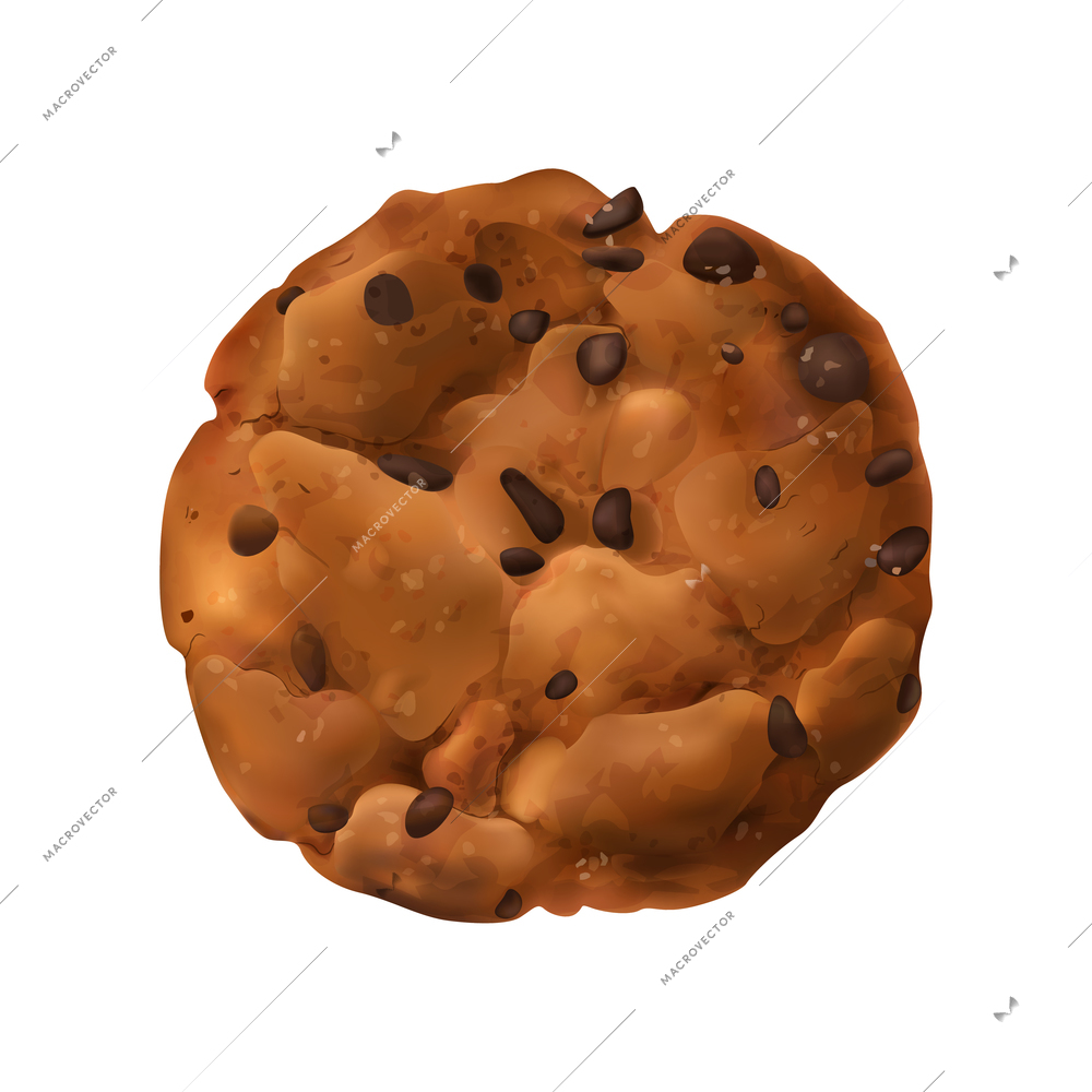 Delicious cookie with chocolate realistic icon vector illustration