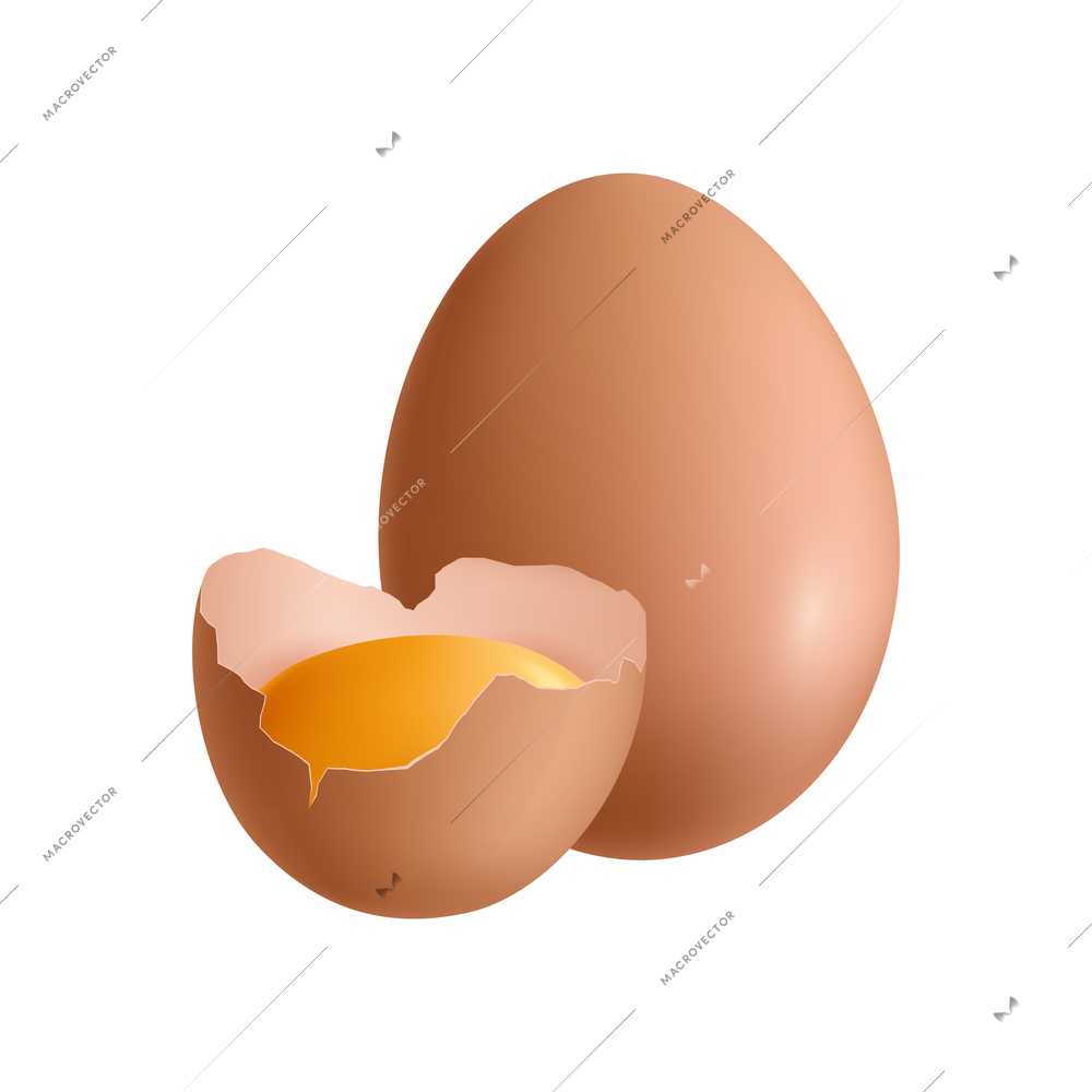 Brown whole and half chicken egg with yolk realistic vector illustration