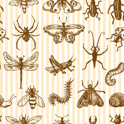 Insects sketch monochrome decorative seamless pattern with snail grasshopper centipede vector illustration