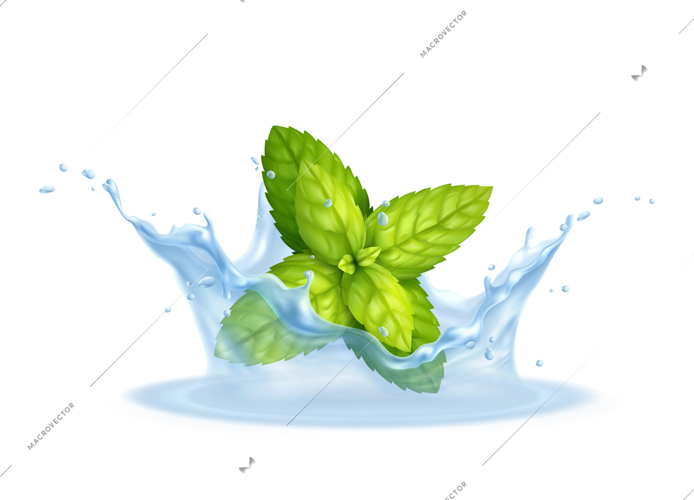 Fresh mint leaves in water splashes realistic background vector illustration