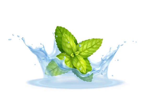 Fresh mint leaves in water splashes realistic background vector illustration