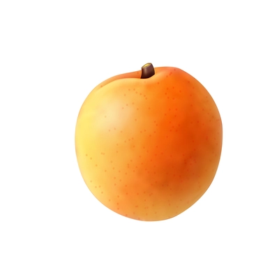 Ripe nectarine on white background realistic vector illustration