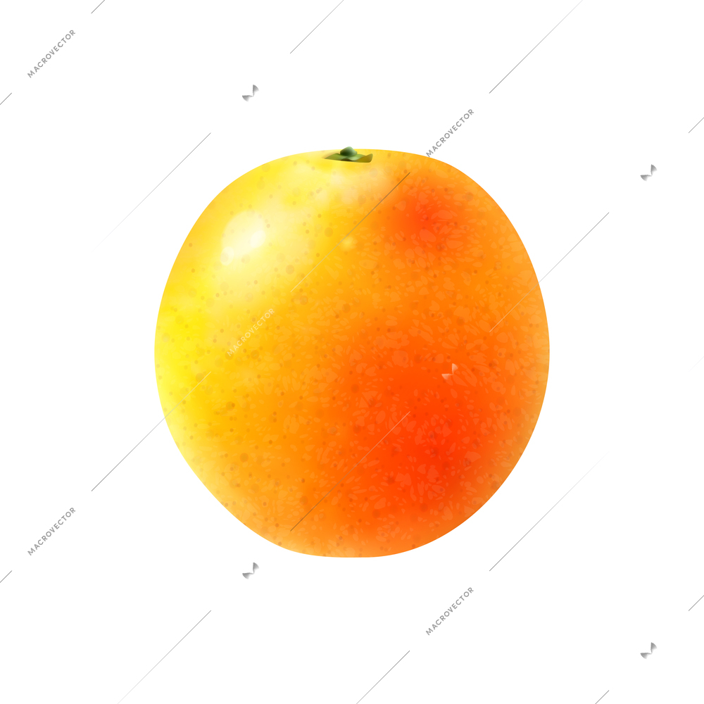 Unpeeled orange on white background realistic vector illustration