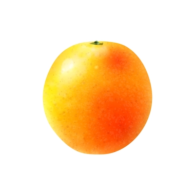 Unpeeled orange on white background realistic vector illustration